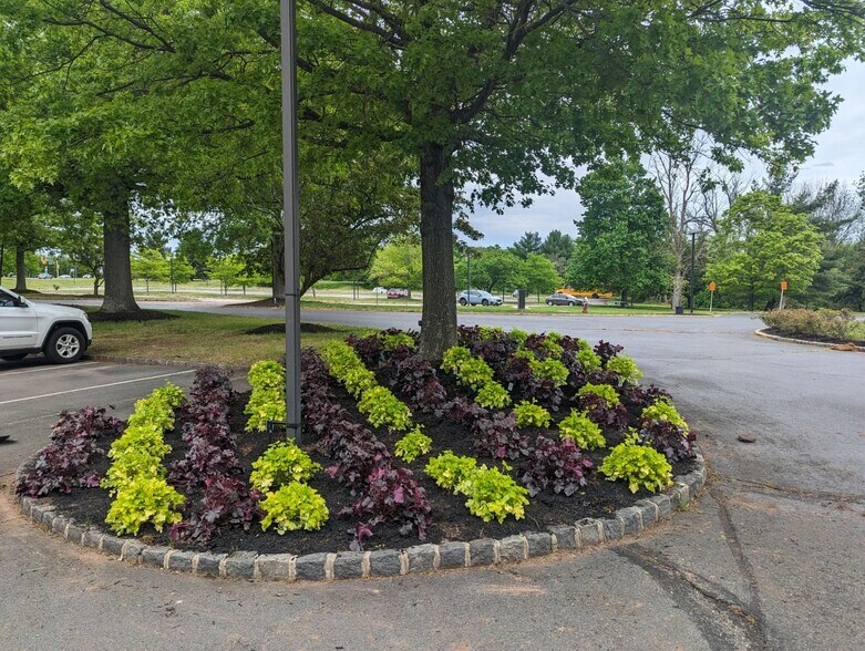 More Photos Of 23 Orchard Rd, Skillman Office For Lease