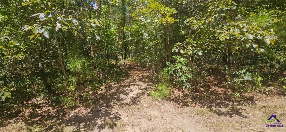 More Photos Of 21.20 Acres Priest Road, Vienna Land For Sale