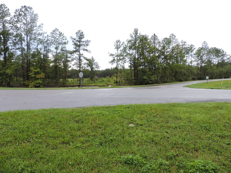 More Photos Of 3725 CR 315A, Green Cove Springs Land For Sale