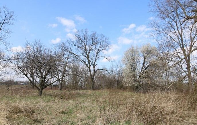 More Photos Of 310 Raleigh Extended St, Martinsburg Land For Sale