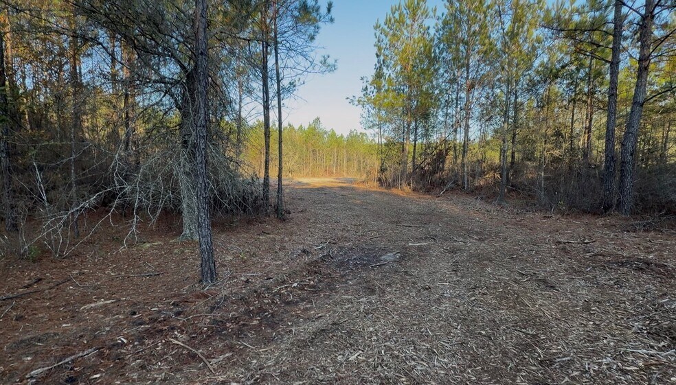 More Photos Of 319 - 547 Sisters Ferry Road, Ridgeland Land For Sale