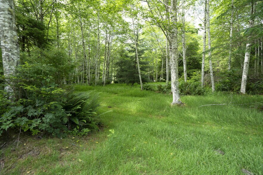 More Photos Of 20860 Hoko Ozette Rd, Clallam Bay Trailer Camper Park For Sale