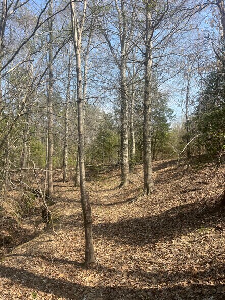 More Photos Of Healing Acres Ln, Carthage Land For Sale