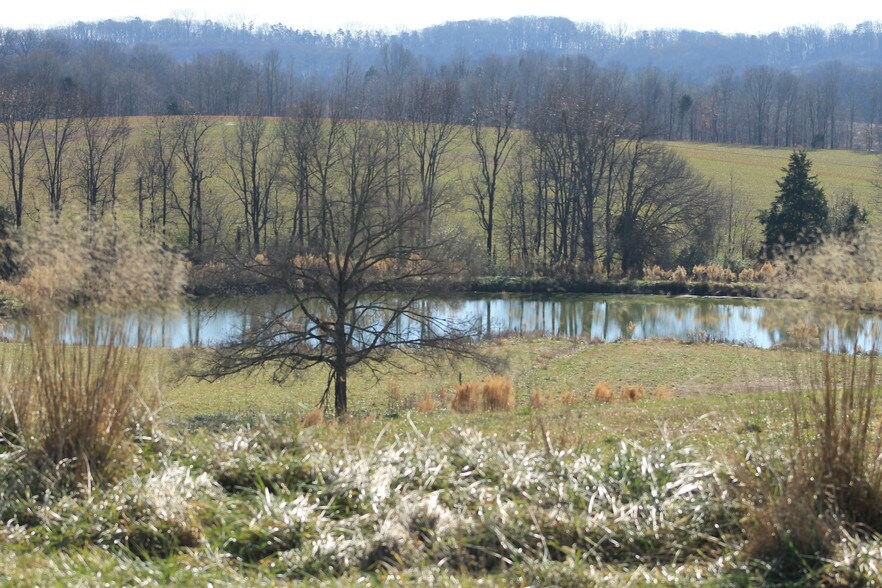 More Photos Of 5690 Rocky Mount Church Rd, Polkton Land For Sale