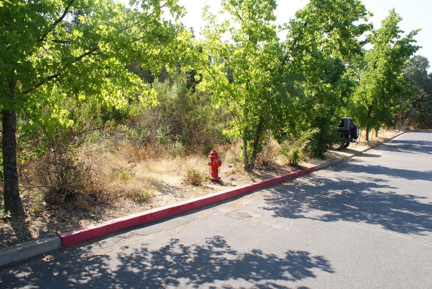More Photos Of 1 Coach Lane, Cameron Park Land For Sale