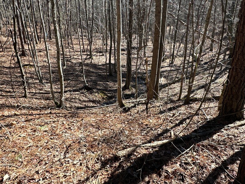 More Photos Of 3472 Prior Station Rd, Cedartown Land For Sale
