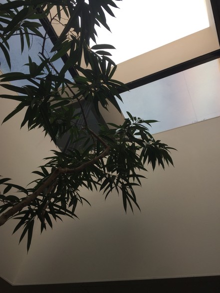 More Photos Of 1401 Union St, Schenectady Medical For Lease