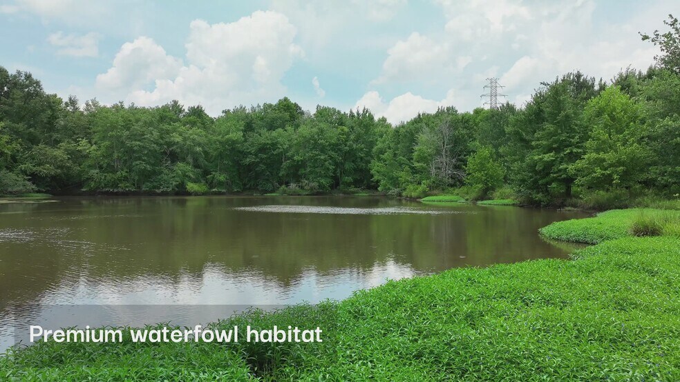 Primary Photo Of Old Brickyard Road, Greenwood Land For Sale