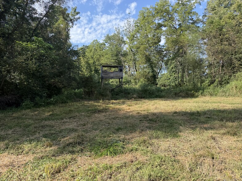 More Photos Of 2681 Casey Ave, Letts Land For Sale