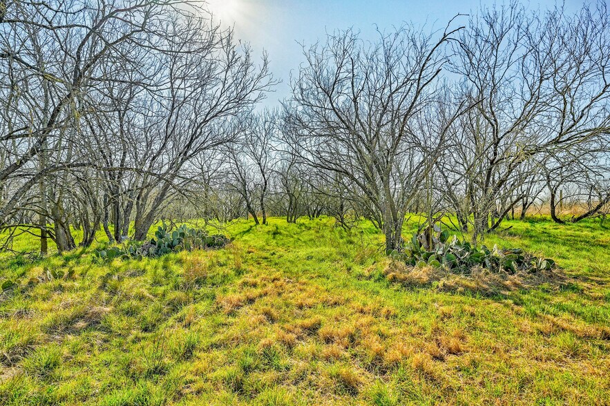 More Photos Of 12529 Old Kimbro Rd, Manor Land For Sale