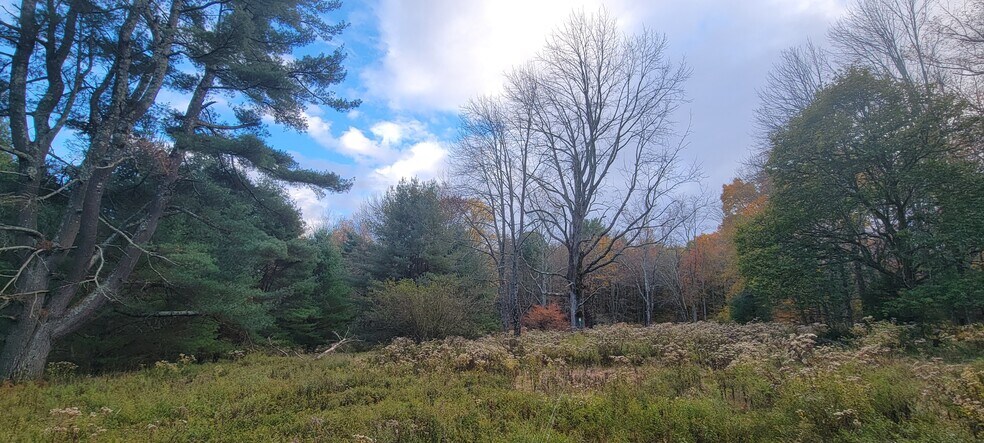More Photos Of 1195 State Route 17B, Bethel Land For Sale
