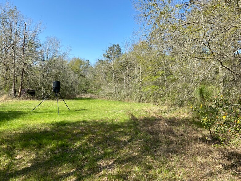 More Photos Of 24030 Hegar Rd, Hockley Land For Sale