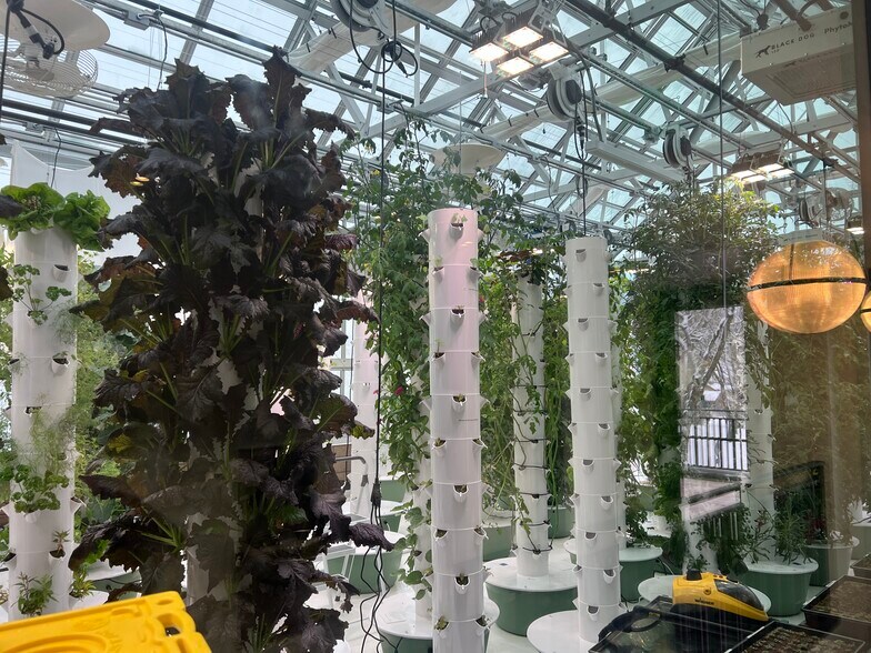 More Photos Of 185 N Lena St, Ridgway General Retail For Lease