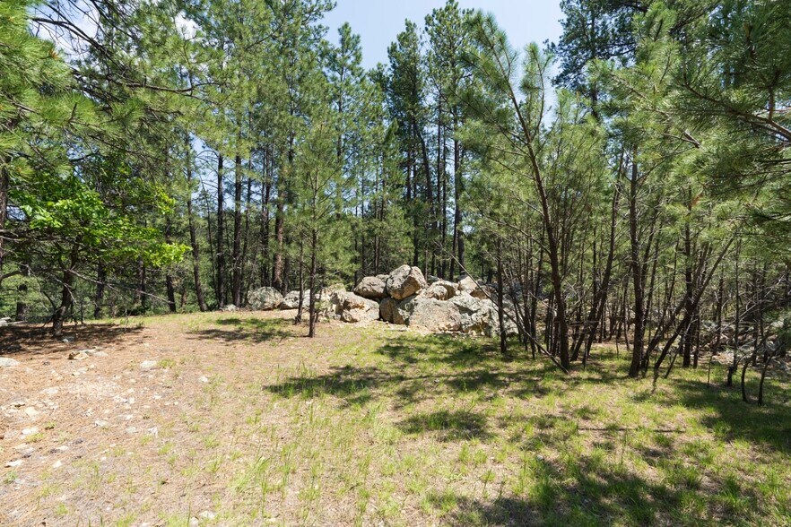 More Photos Of 1201A Old Hill City Rd, Keystone Land For Sale
