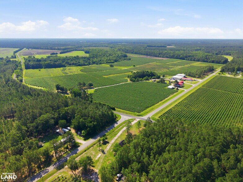 More Photos Of 5478 Halfway Branch School rd, Ivanhoe Land For Sale