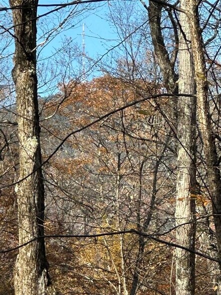 More Photos Of 1928 VT-131, Springfield Land For Sale