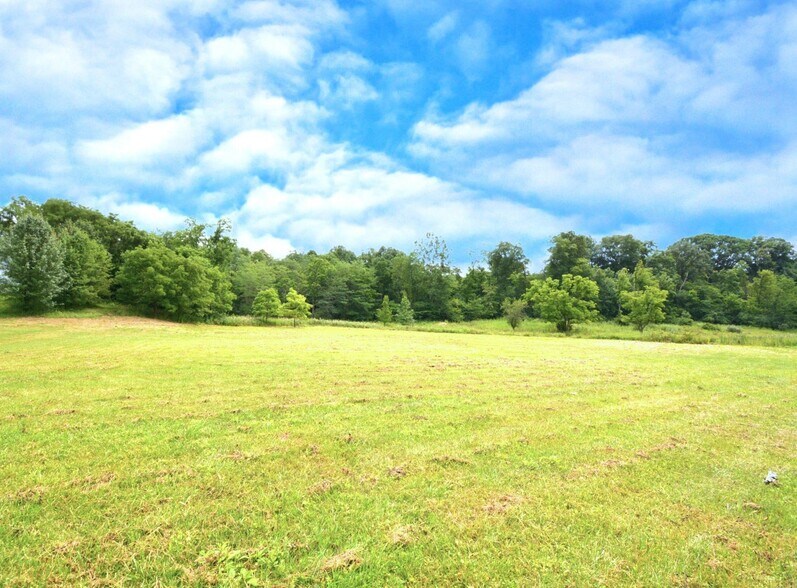 More Photos Of 250 Main st, Mount Gilead Land For Sale