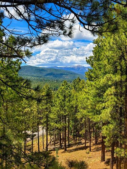 More Photos Of 10 Espinoza Cir, Angel Fire Specialty For Sale