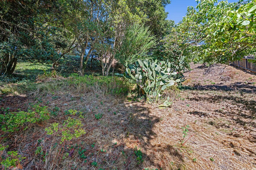 More Photos Of 614 Cragmont Ave, Berkeley Land For Sale