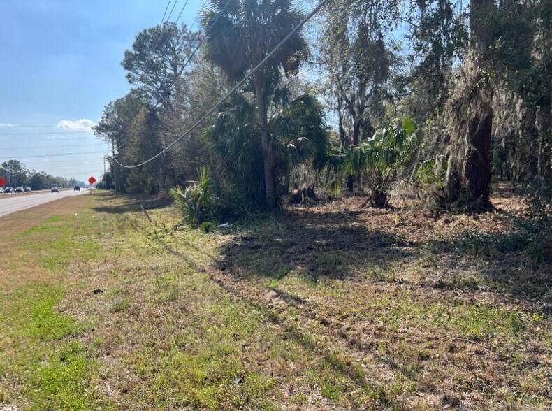 More Photos Of 3855 Darien Hwy, Brunswick Land For Sale