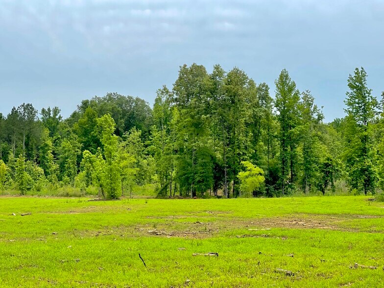 More Photos Of 92 Lillian Strong rd, Carlton Land For Sale