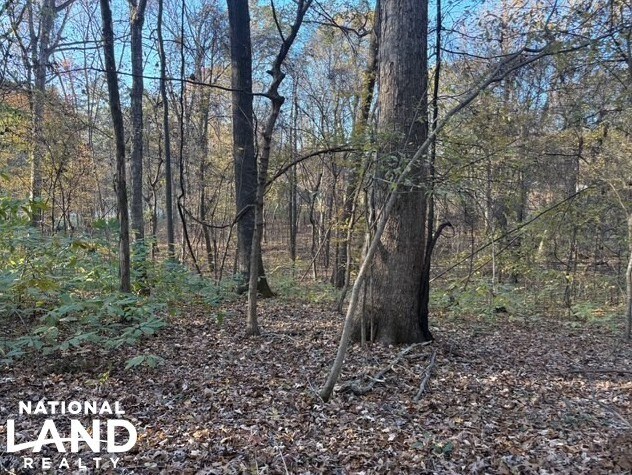 More Photos Of HWY 301, Horn Lake Land For Sale