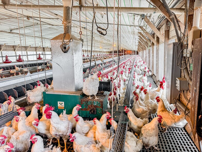 More Photos Of 1291 Myron Hart Rd, Coolidge Land For Sale