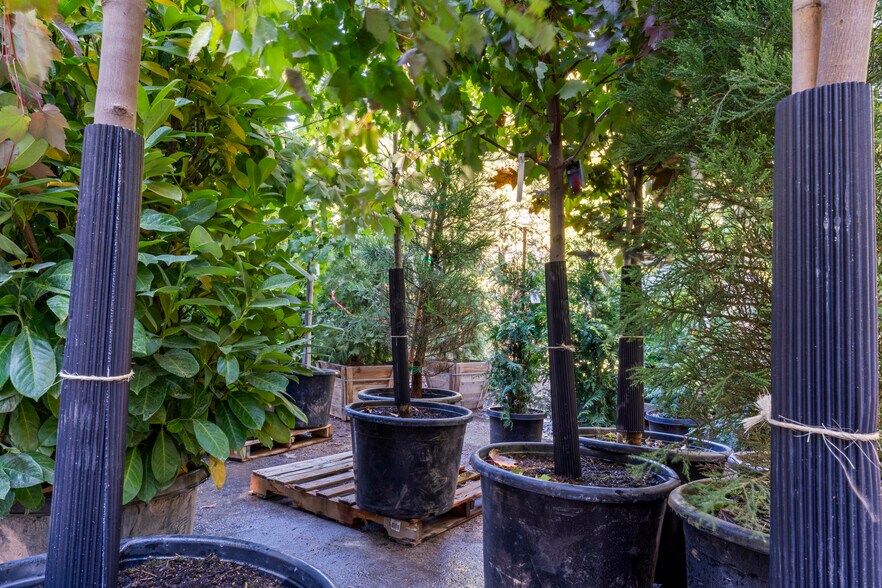 More Photos Of 303 CA-173 Hwy, Lake Arrowhead Garden Center For Sale