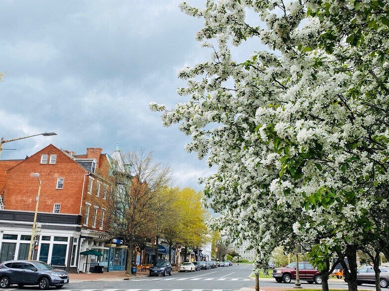 More Photos Of 308-312 Pennsylvania Ave SE, Washington Office For Sale