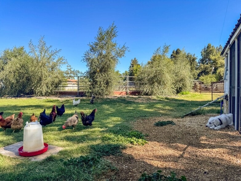 More Photos Of 38364 Wisteria Way, Davis Land For Sale