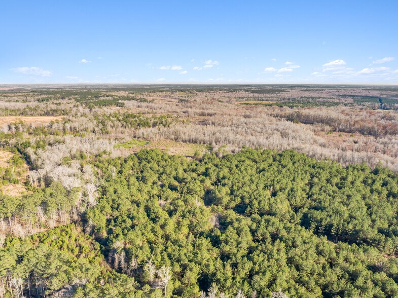 More Photos Of 7471 Hwy 155, Saline Land For Sale
