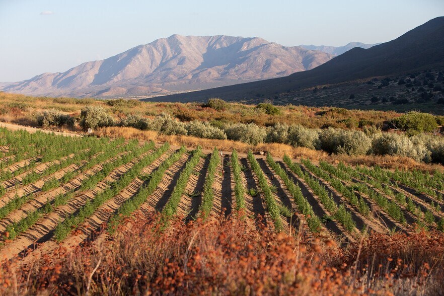 More Photos Of 0 San Felipe Rd, Warner Springs Land For Sale