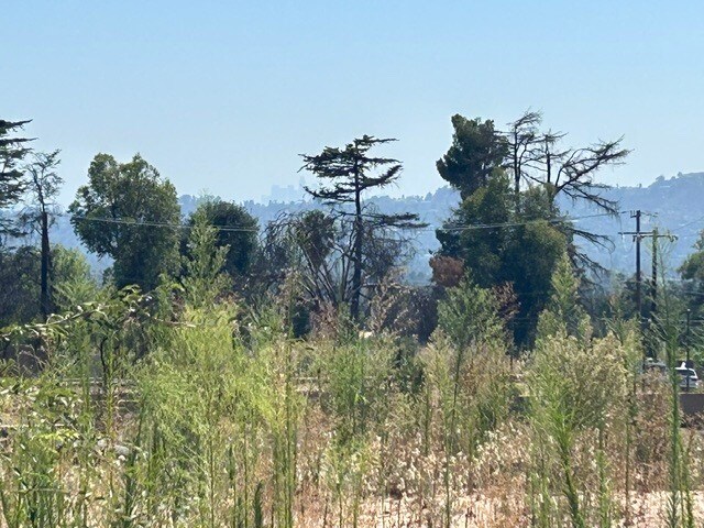 More Photos Of 298 E Poppyfields Dr, Altadena Land For Sale