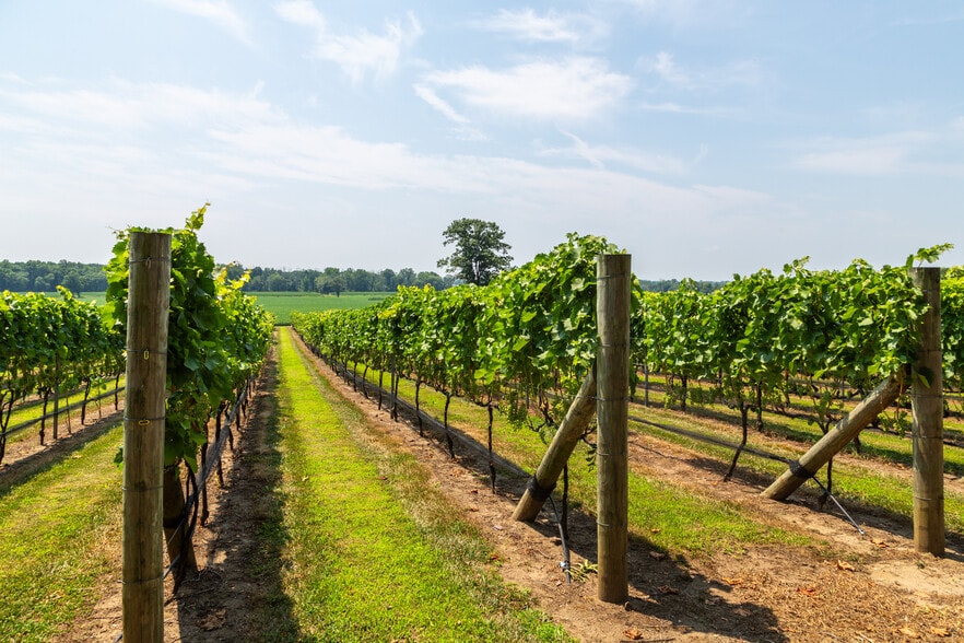More Photos Of 27058 Mount Pleasant Rd, Columbus Winery Vineyard For Sale