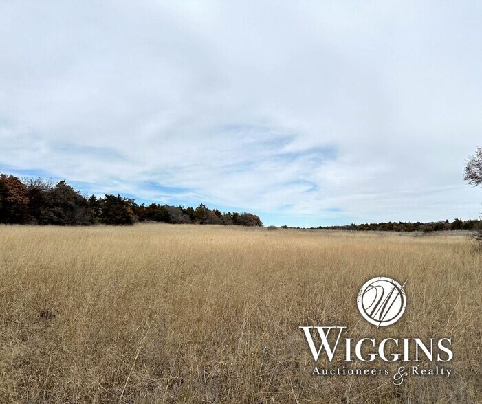 Primary Photo Of 242513 E 590 rd, Seiling Land For Sale