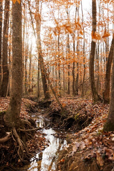 More Photos Of Jug Factory Road, Wetumpka Land For Sale