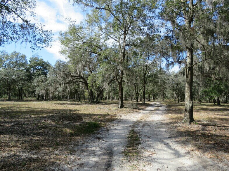 More Photos Of 9570 NE 35th st, Bronson Land For Sale