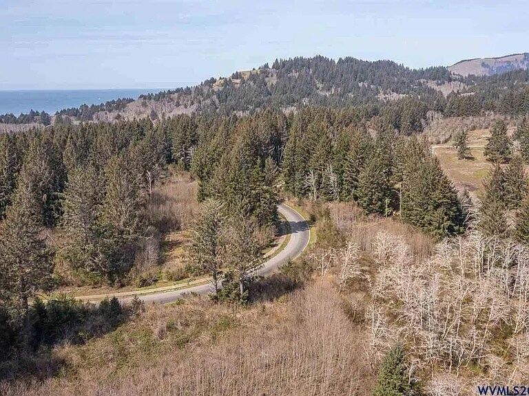 More Photos Of 0 NE Devil's Lake Blvd, Lincoln City Land For Sale