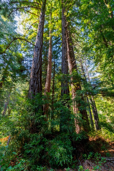 More Photos Of 2372 McKenzie Creek rd, Scotts Valley Land For Sale