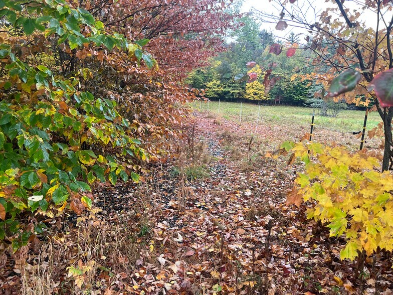 More Photos Of 713 Lewis Hill rd, Bethlehem Multifamily For Sale