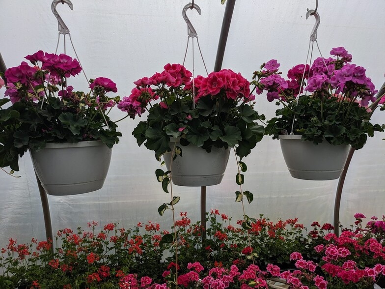 More Photos Of 73 Little York Rd, Warwick Garden Center For Sale