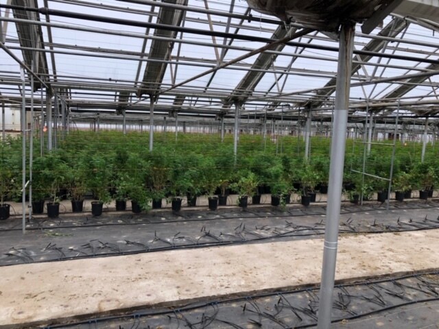 More Photos Of 900 N Taft Hill Rd, Fort Collins Showroom For Lease