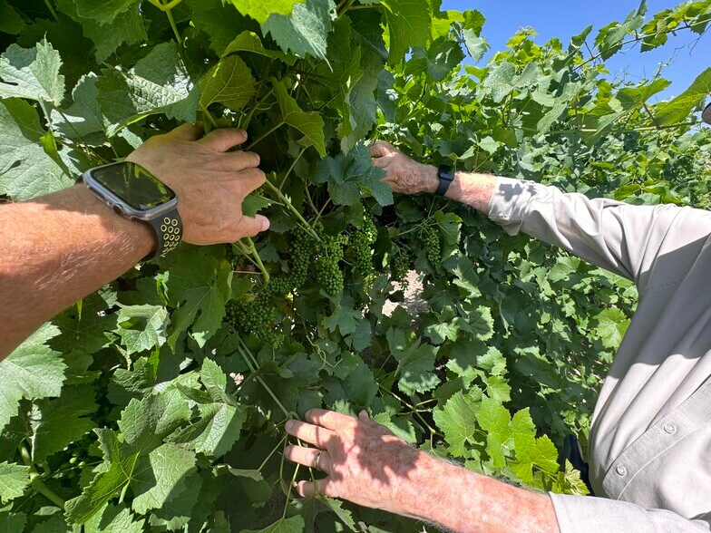 More Photos Of 25203 Road 212, Lindsay Land For Sale