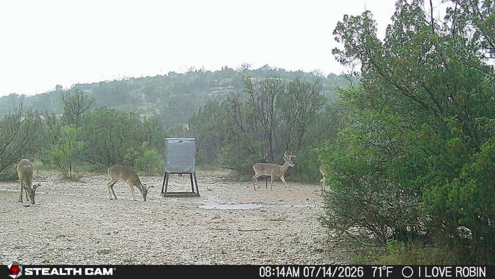 More Photos Of 0000 Clegg Rd, Ozona Land For Sale