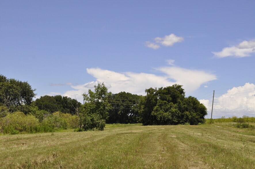 More Photos Of Lake Marie Dr, Dundee Land For Sale