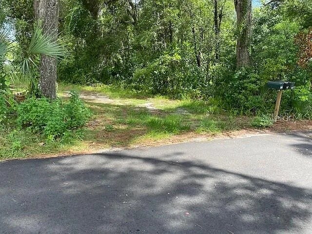 Primary Photo Of S Garfield ave, Deland Land For Sale