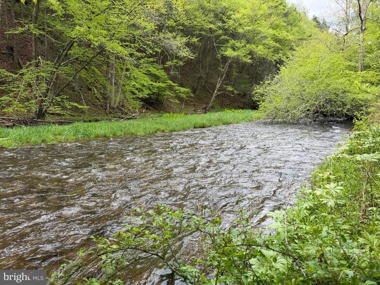 More Photos Of 1226-1227 Cross Fork Creek Rd, Cross Fork Land For Sale