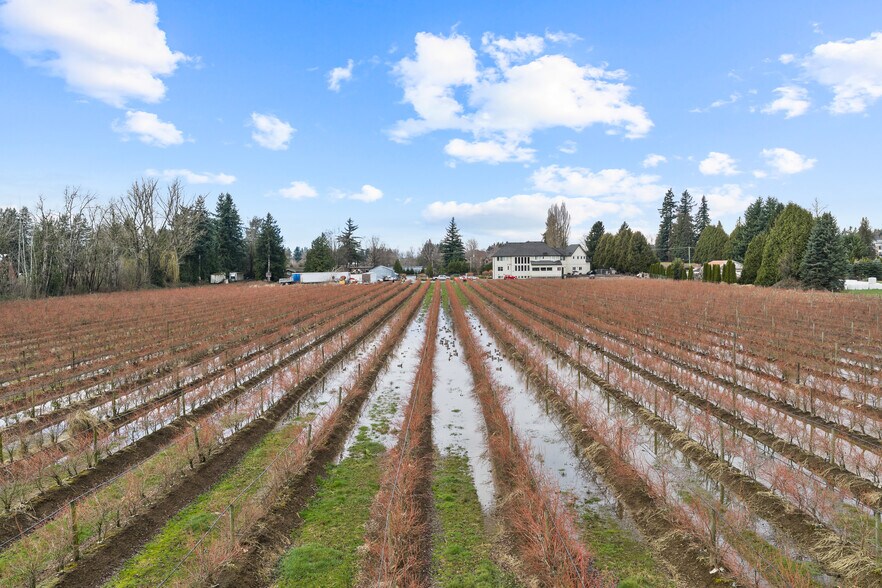 More Photos Of 1264 Mccallum Rd, Abbotsford Land For Sale
