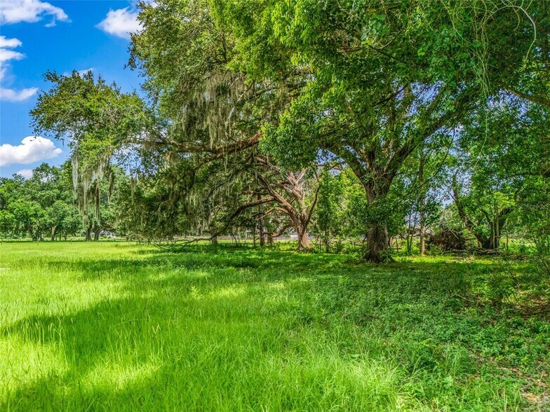 More Photos Of CR 738, Webster Land For Sale