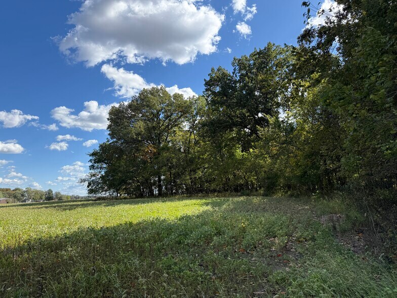 More Photos Of 6423 IL-184, Royalton Land For Sale